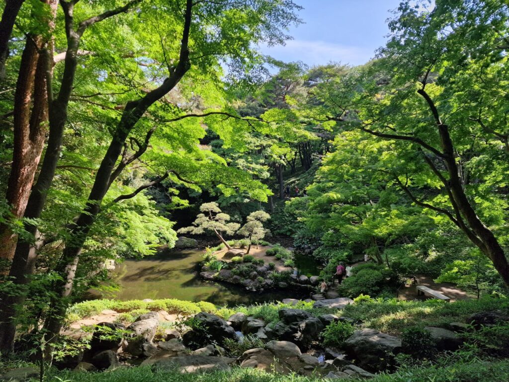 Japan im Frühling